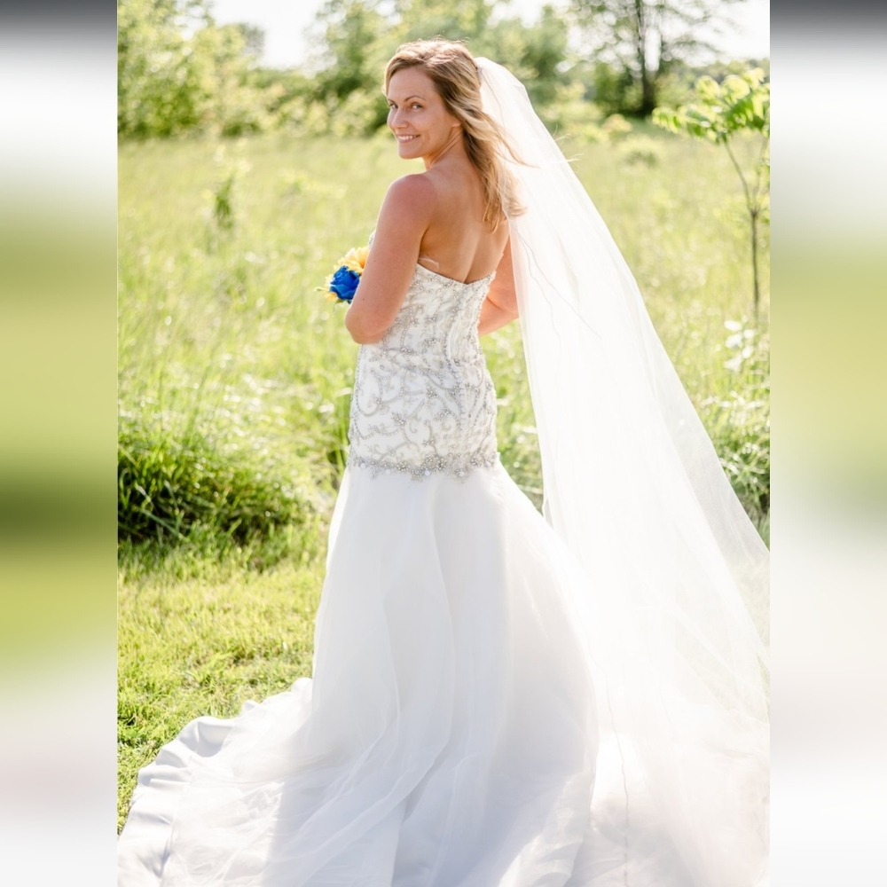 Wedding Dress and Vail - Picture 2 of 3